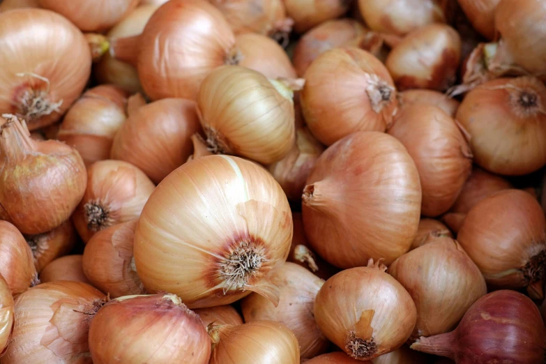 close up po of onions on the table