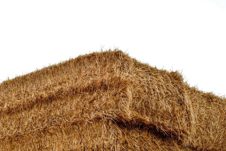 a horse is standing near a very large stack of hay
