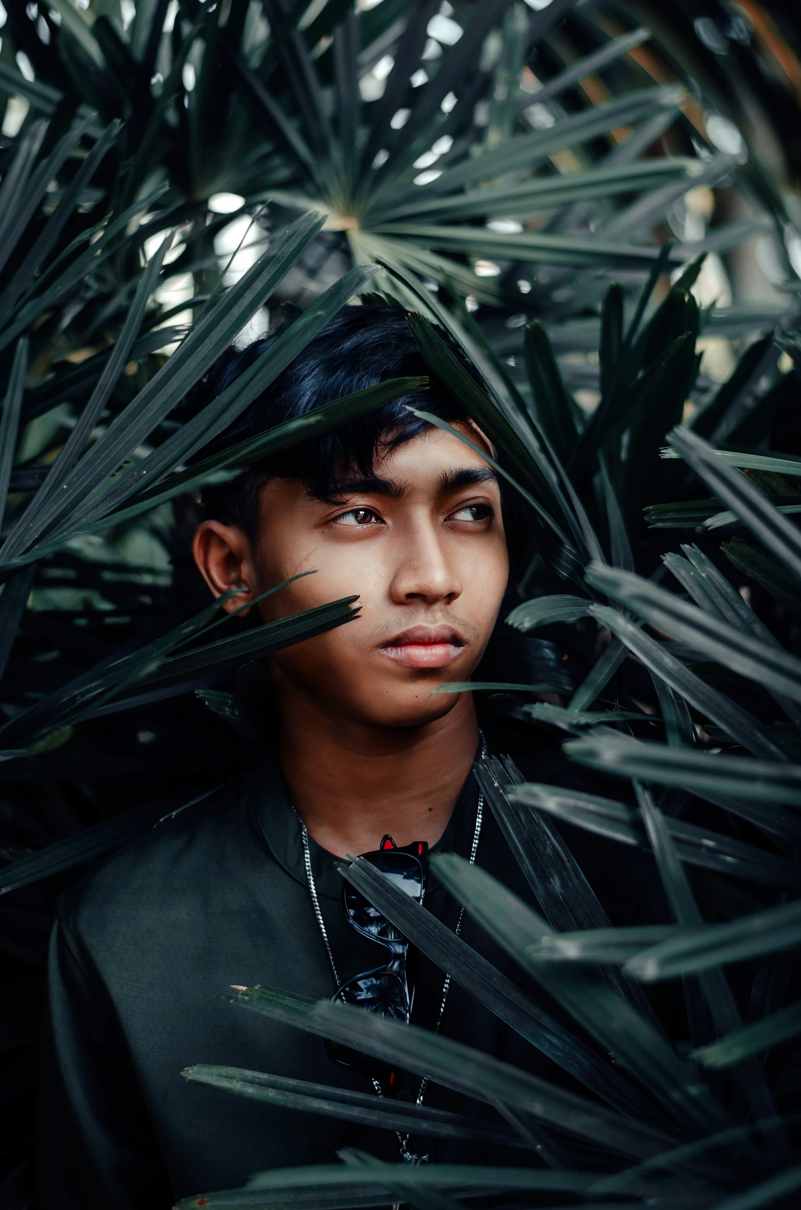 a man sitting in between tall palm trees