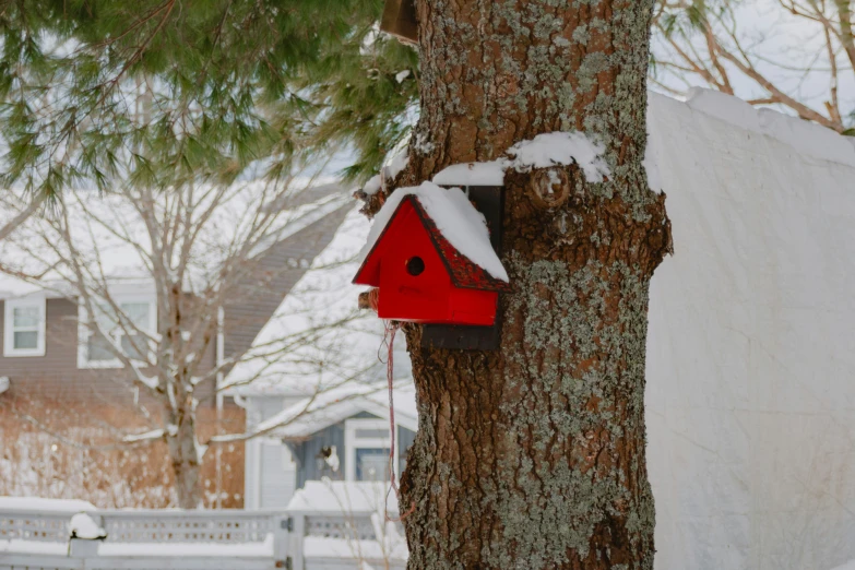 a red birdhouse hanging on a tree covered in snow