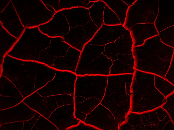 the structure of a vein of red light in dark colors