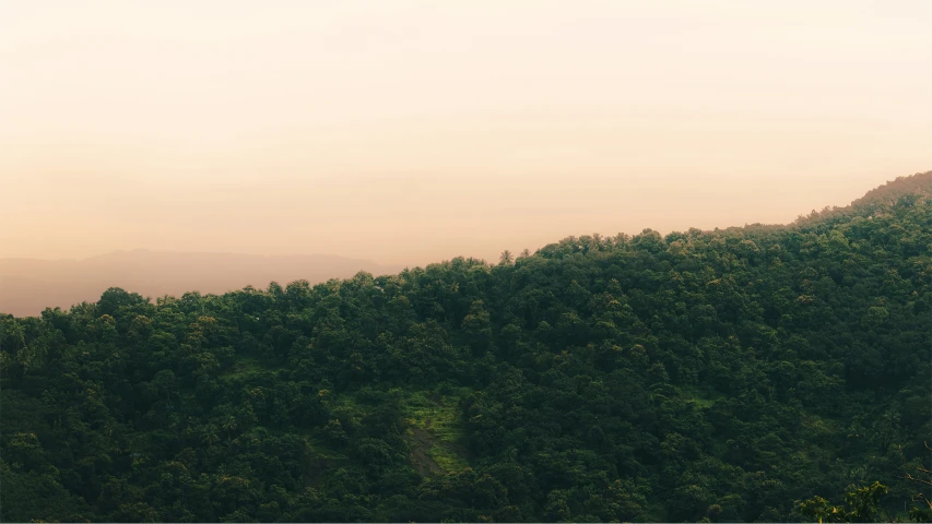 the view from the top of a mountain with trees