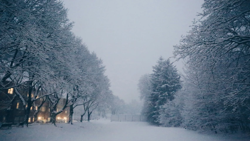 a snowy road and street during winter time