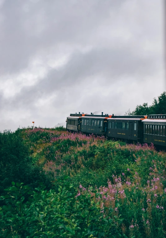 a black train moving on tracks near bushes