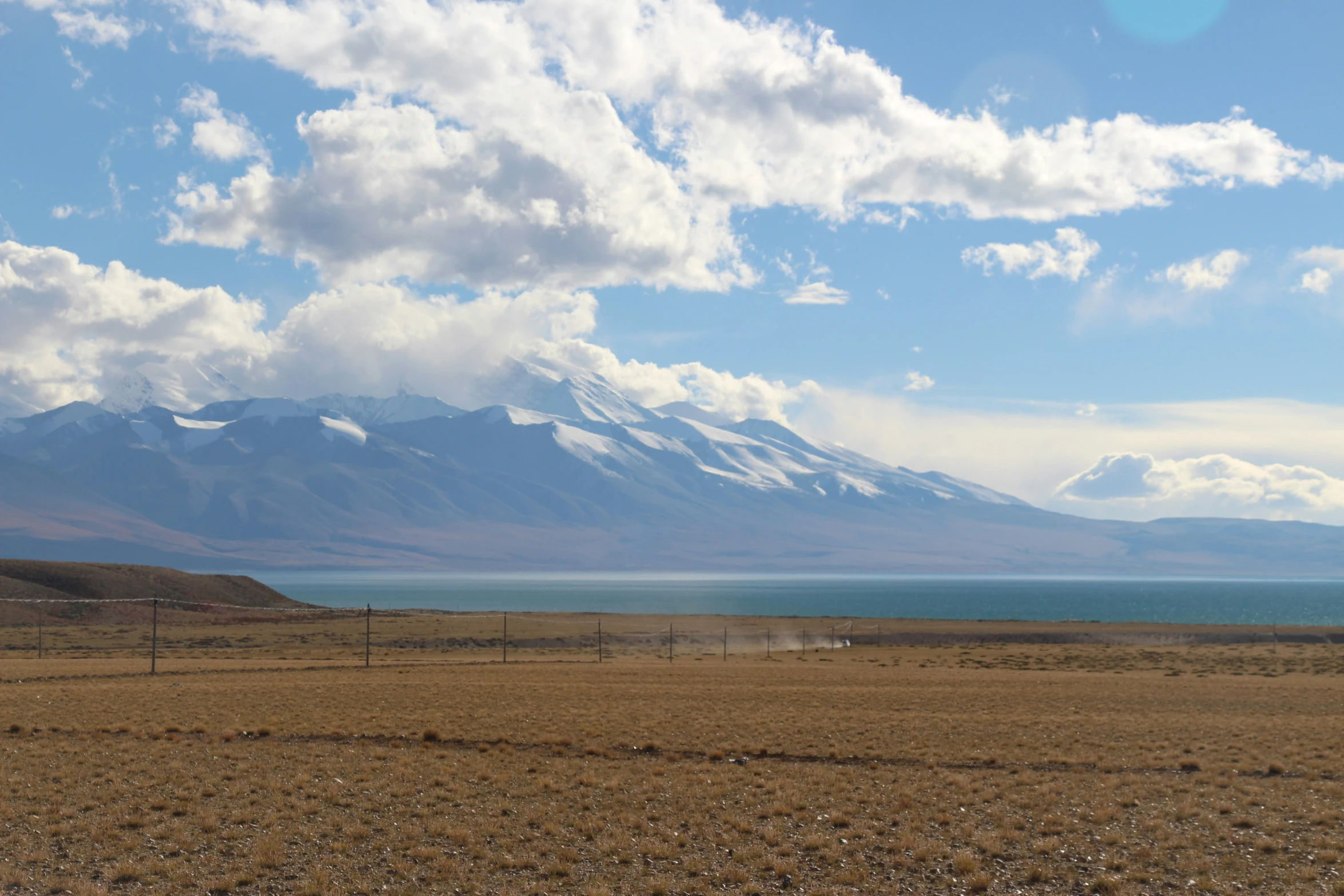 two animals walk near an empty field under mountains