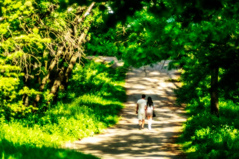 two people walking down a path that is bordered by tall green trees