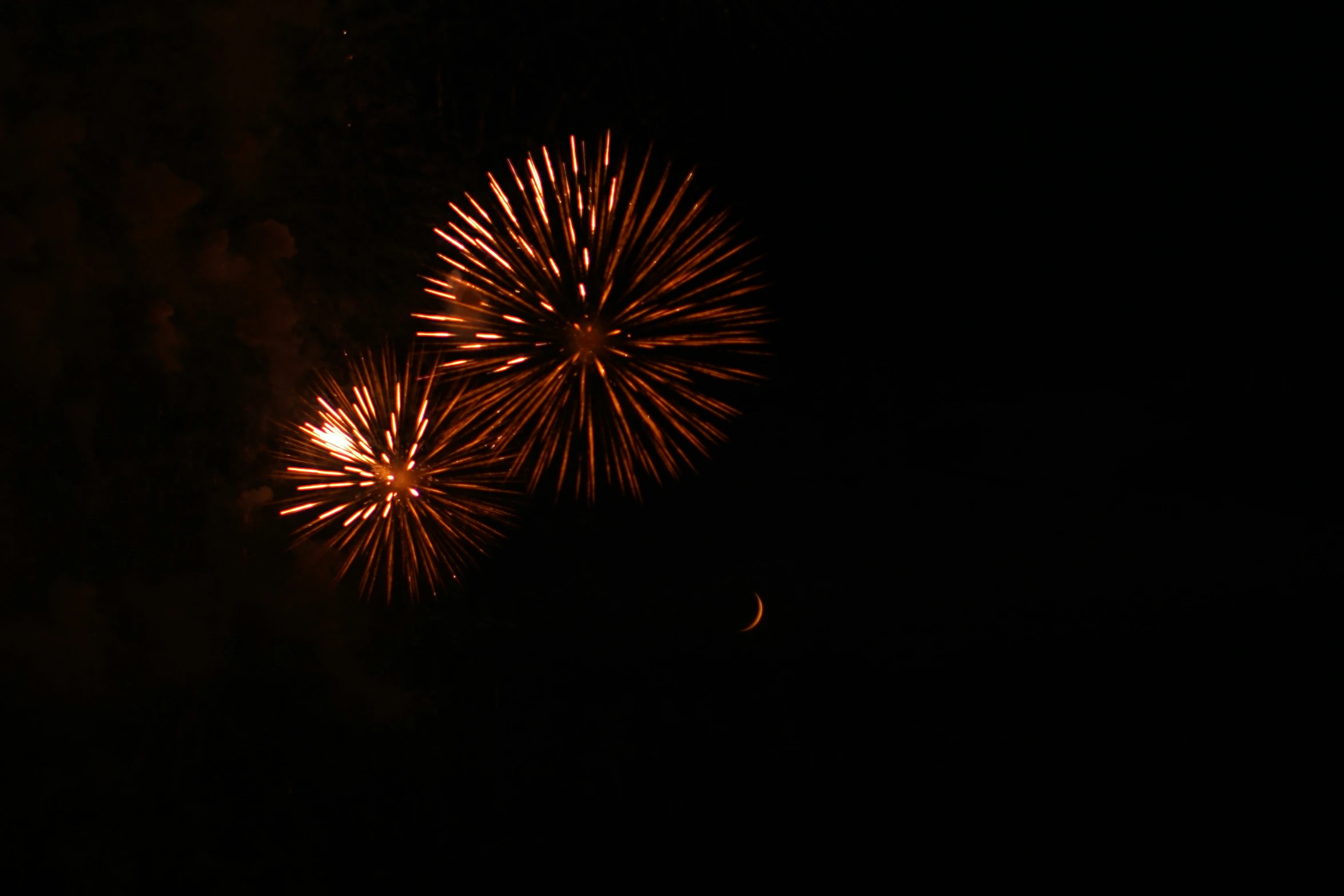 the large fireworks is lite up in the night sky