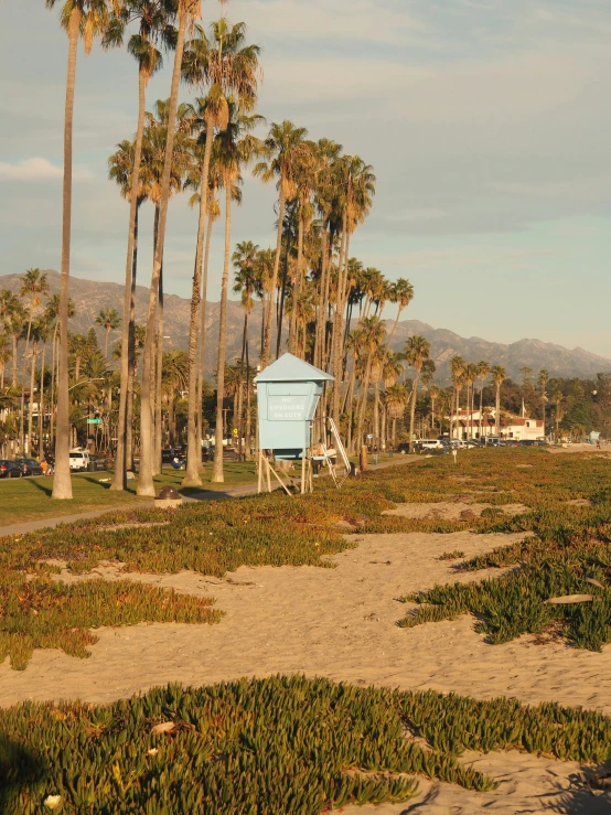 a shack surrounded by palm trees on a sunny day