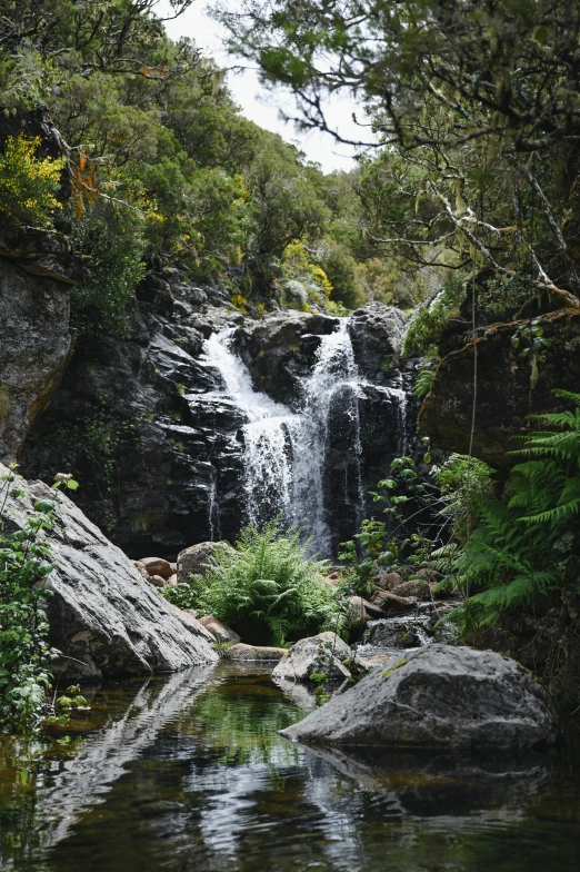 a large waterfall surrounded by trees and plants