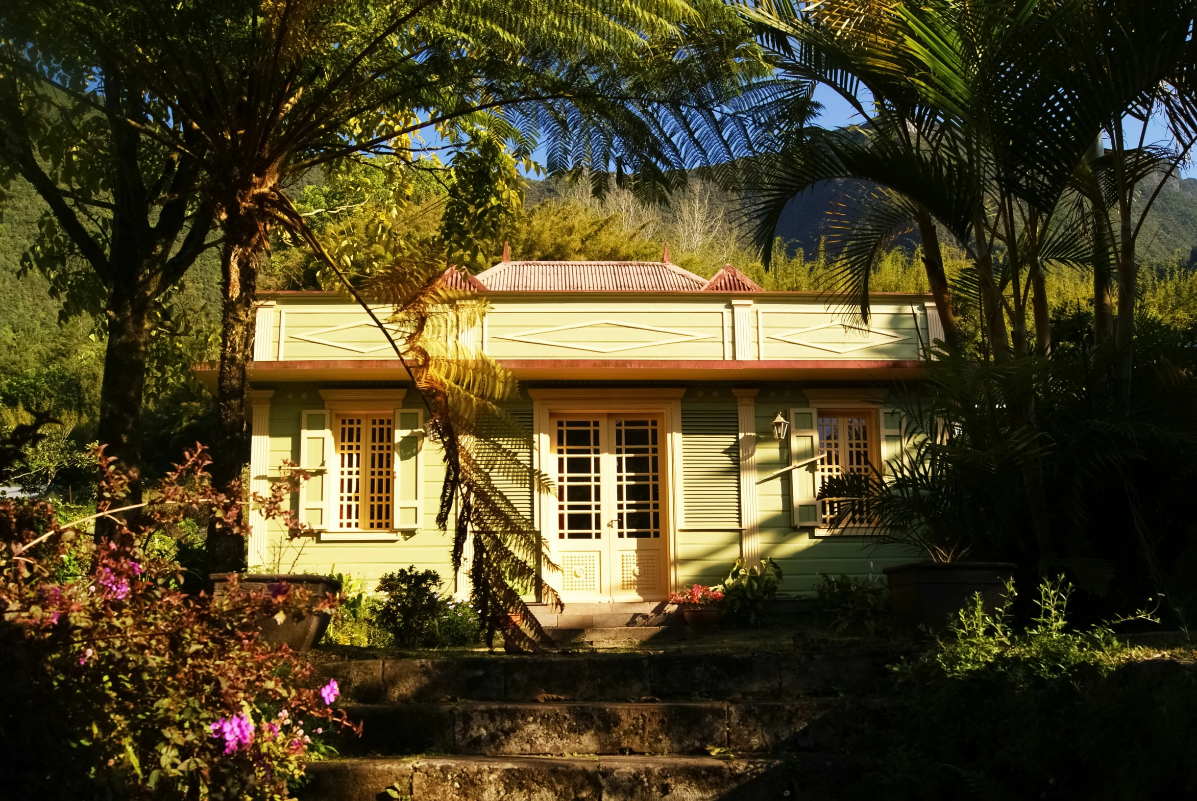 an over head s of a house surrounded by lush green trees