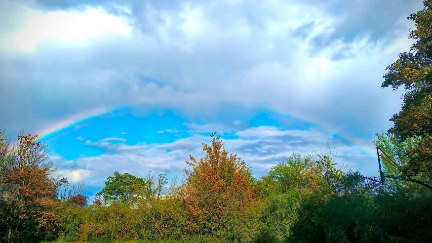 a rainbow is visible above trees in the middle of a blue cloudy sky