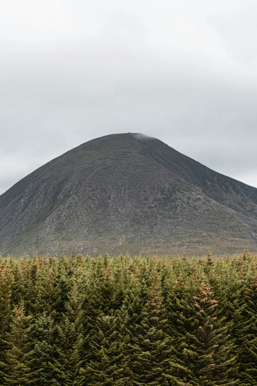 a large black hill behind some trees