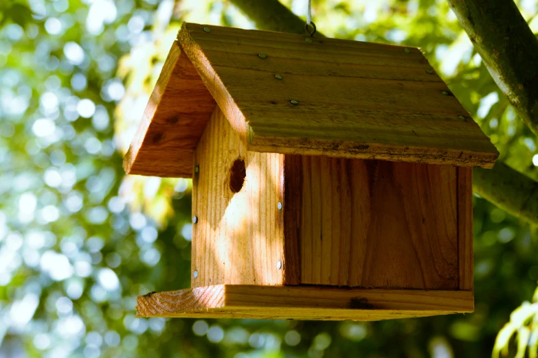 a wooden birdhouse hanging on a tree nch