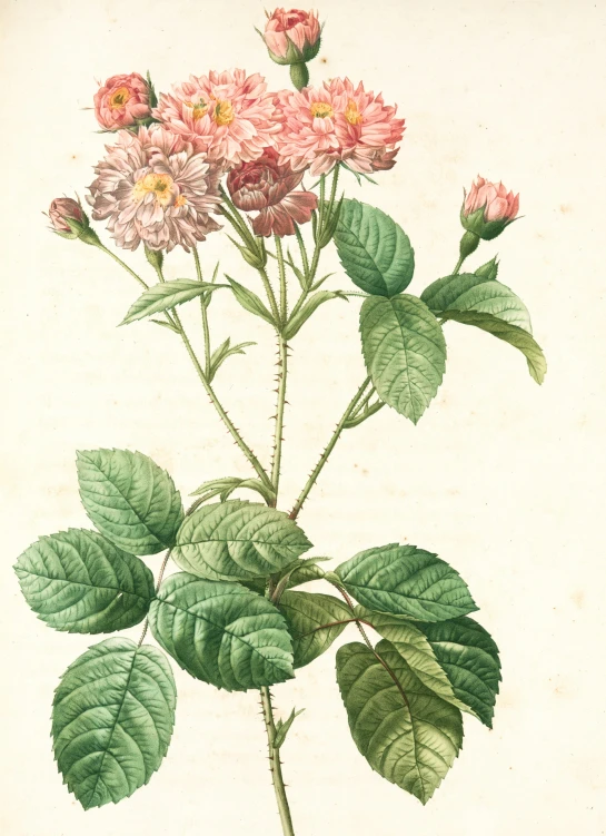 this painting depicts some pink and green flowers