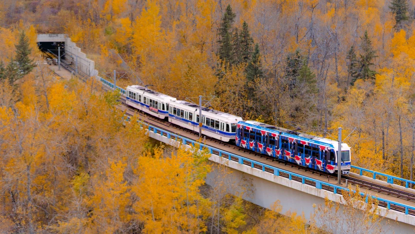 a blue and white train traveling over a forest