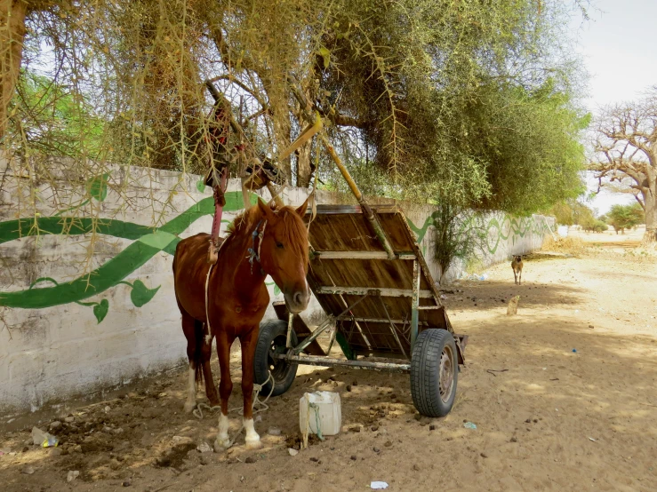 a pair of horses pulling a trailer that has been made to transport a horse