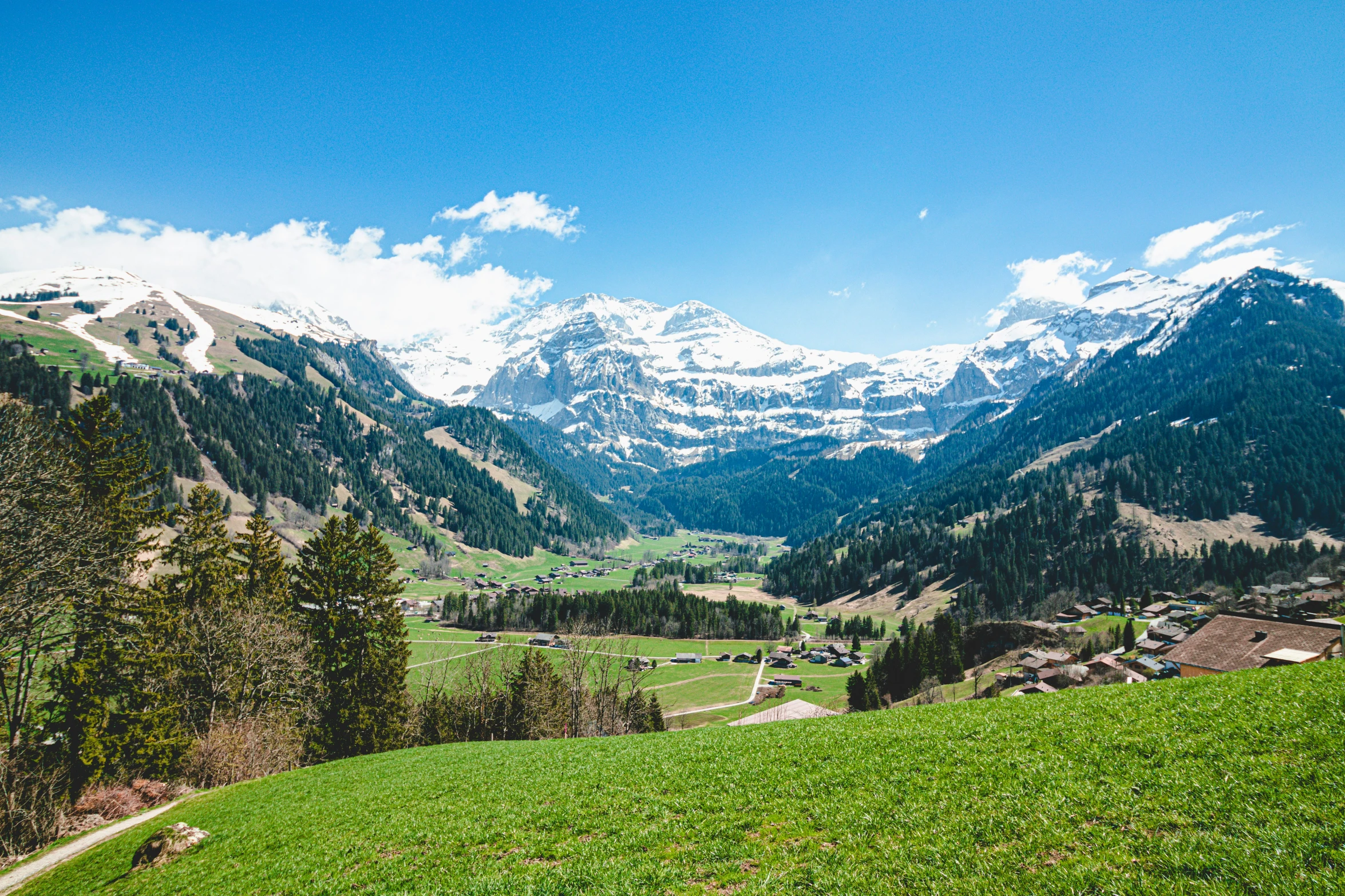 two people standing in the grass with mountains in the background