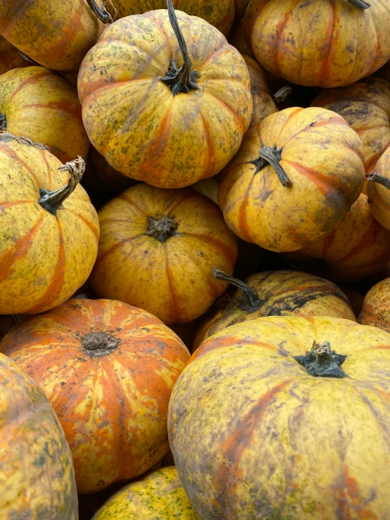 a pile of small orange and yellow pumpkins