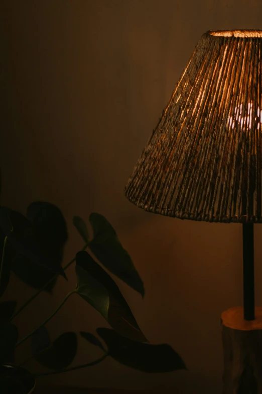 a lamp is beside a plant with a light on it