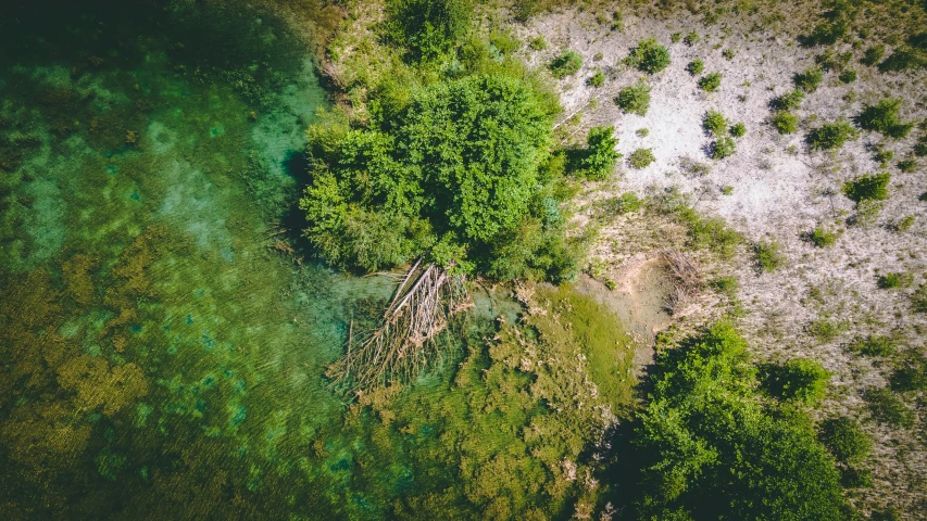 a view from a helicopter looking down on trees