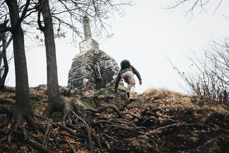 a person walking on a hill by a tree