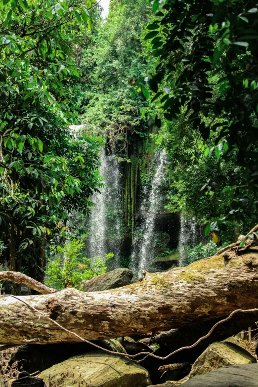 waterfall in the middle of trees in a jungle