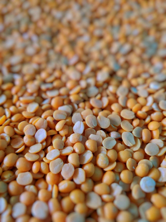 close up of yellow corn grains laying on a table