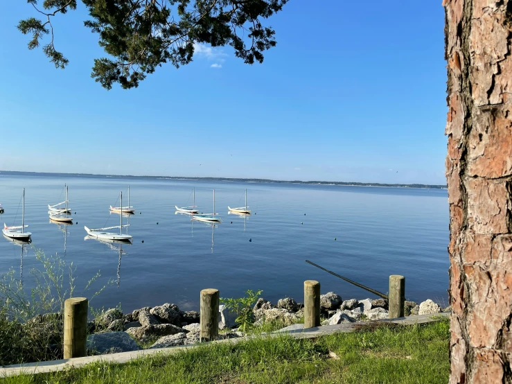 boats moored on the water near a shoreline