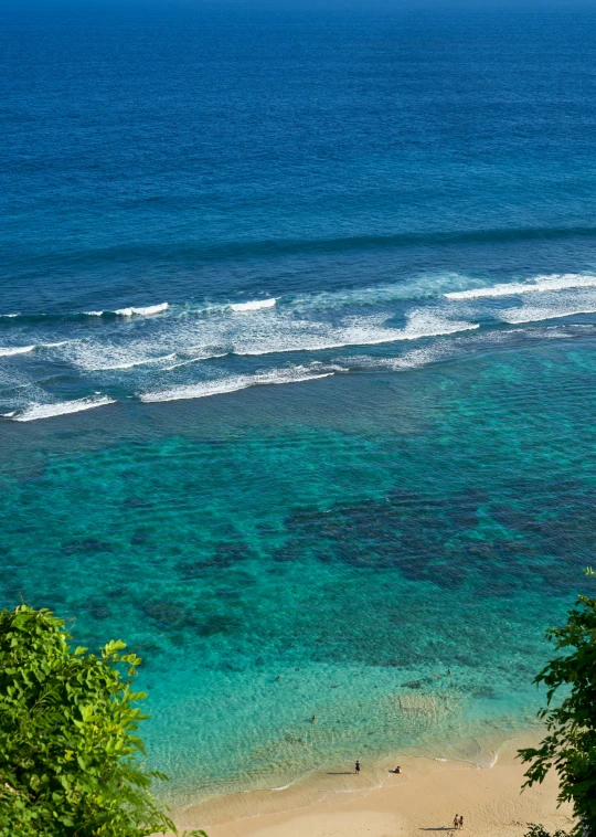 a sandy shore surrounded by green plants and a blue body of water