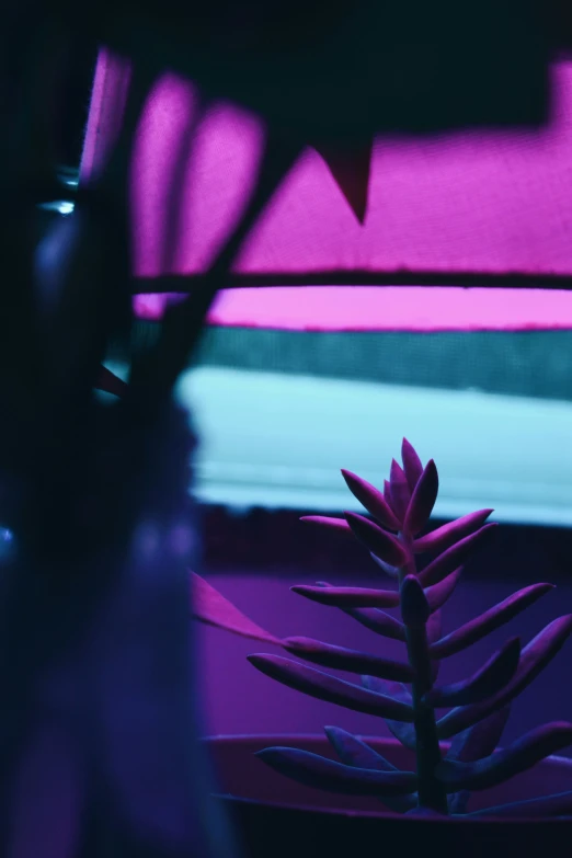 a blue and purple vase with a purple plant in it