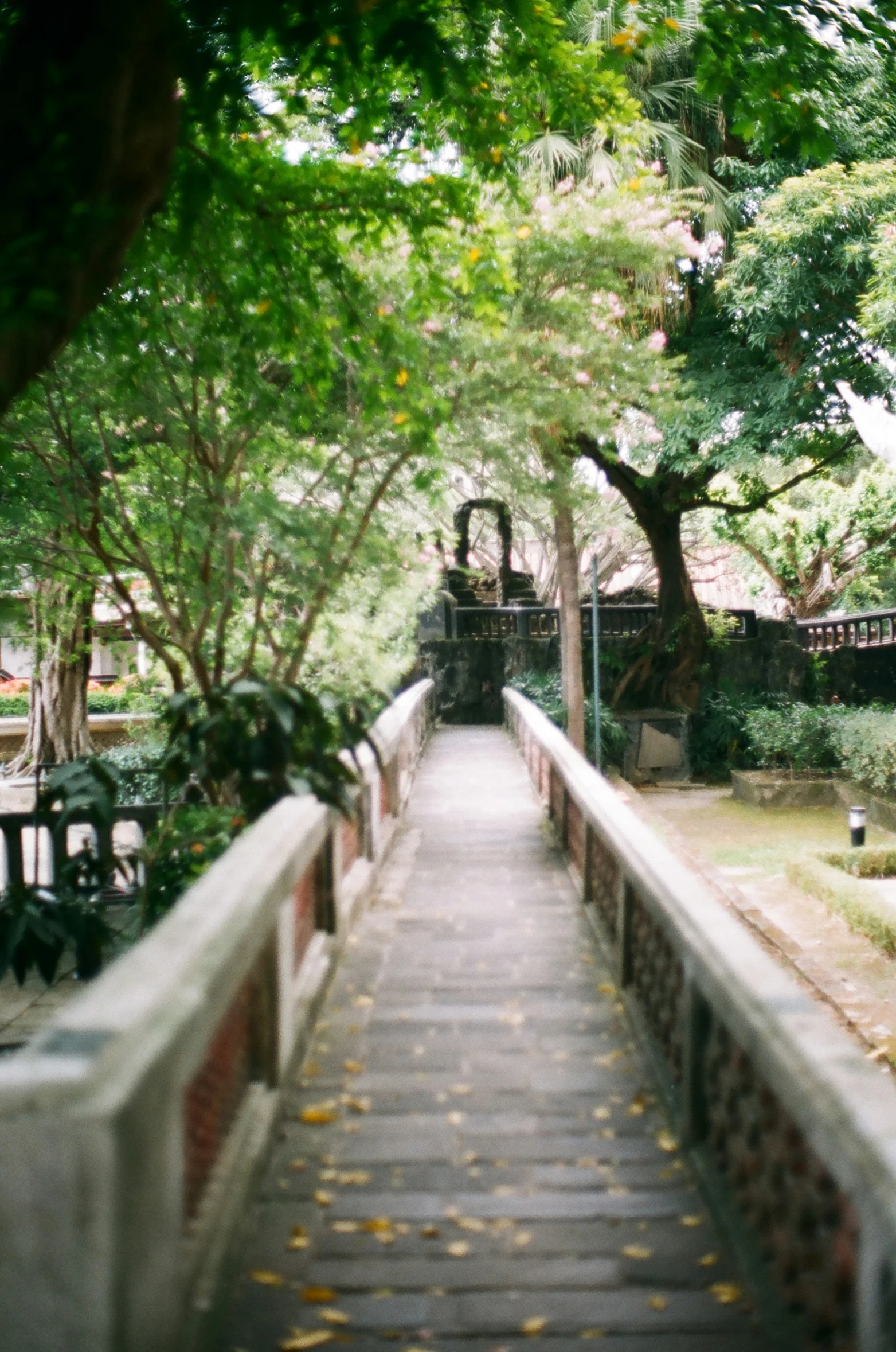 walkway between two different buildings with trees in the background