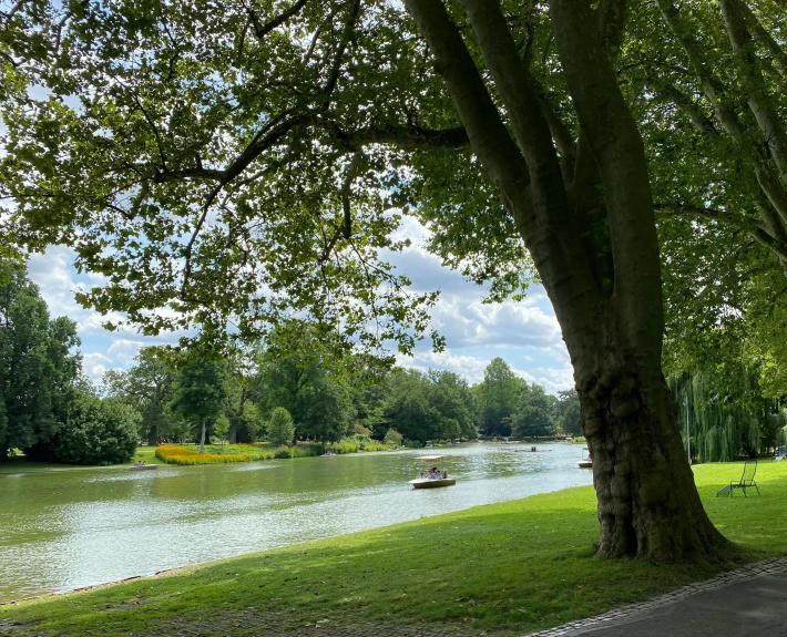 a park bench next to a tree on a grassy field