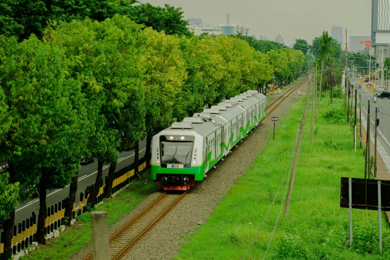 a passenger train is passing through a lush green area