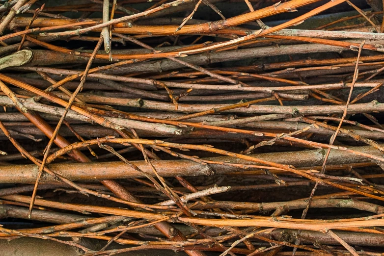 a pile of wood sticks and nches next to a building