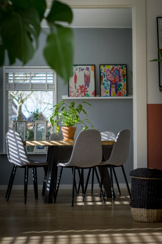 there are several plants on the table and two pictures hanging on the wall