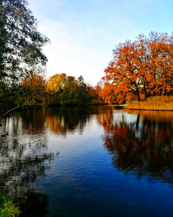 trees with autumn foliage are reflected in a lake