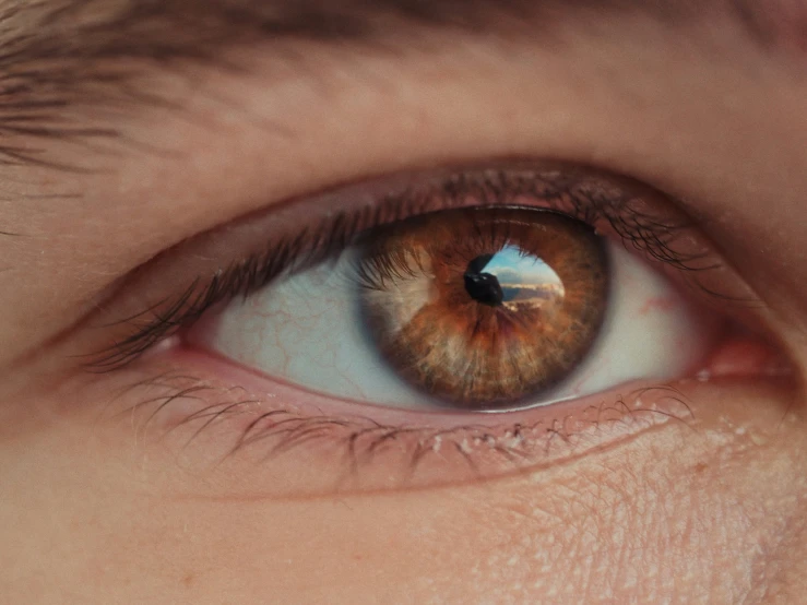 a close up of an eye with very light colors