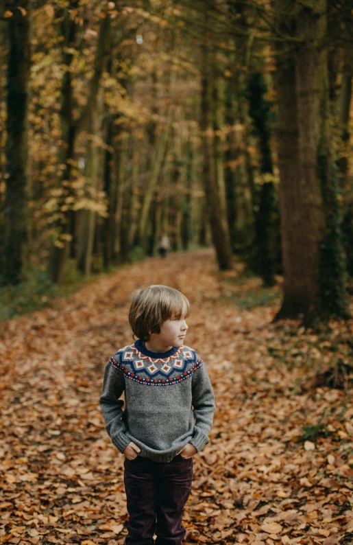 a  stands alone in the middle of a leaf strewn road