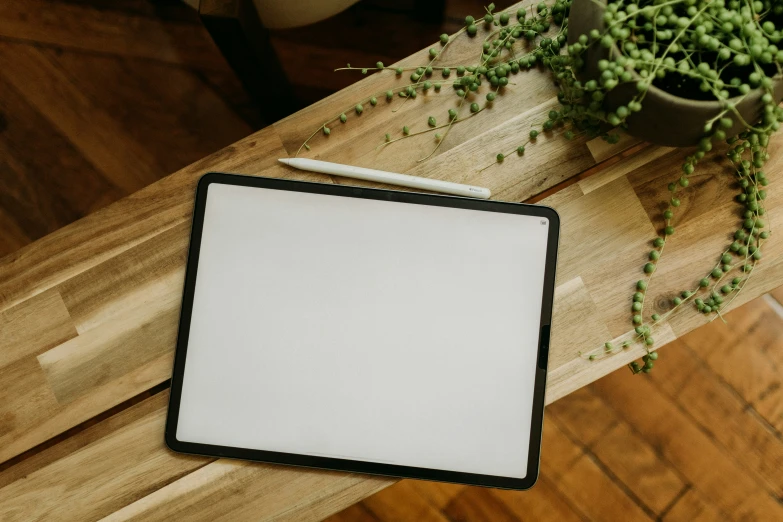 an empty white board on a table near a potted plant