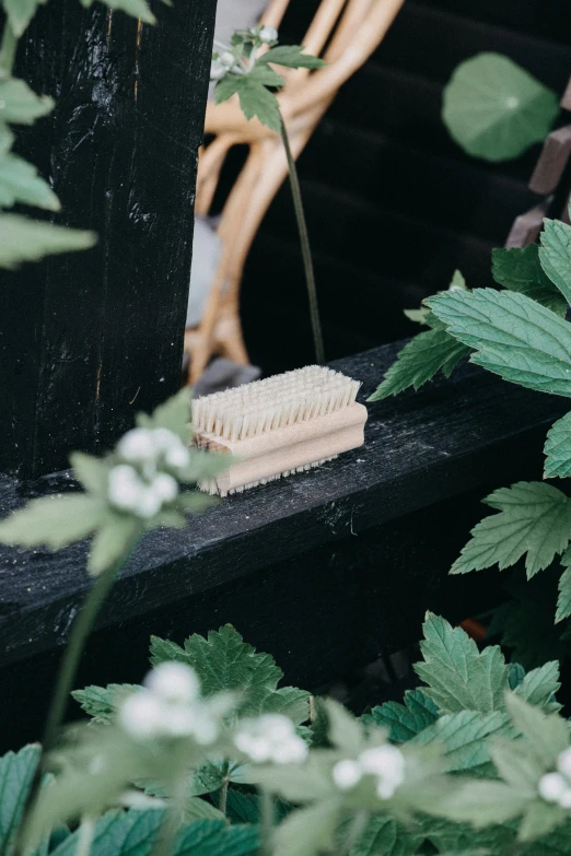 a close up of a toothbrush on some wood