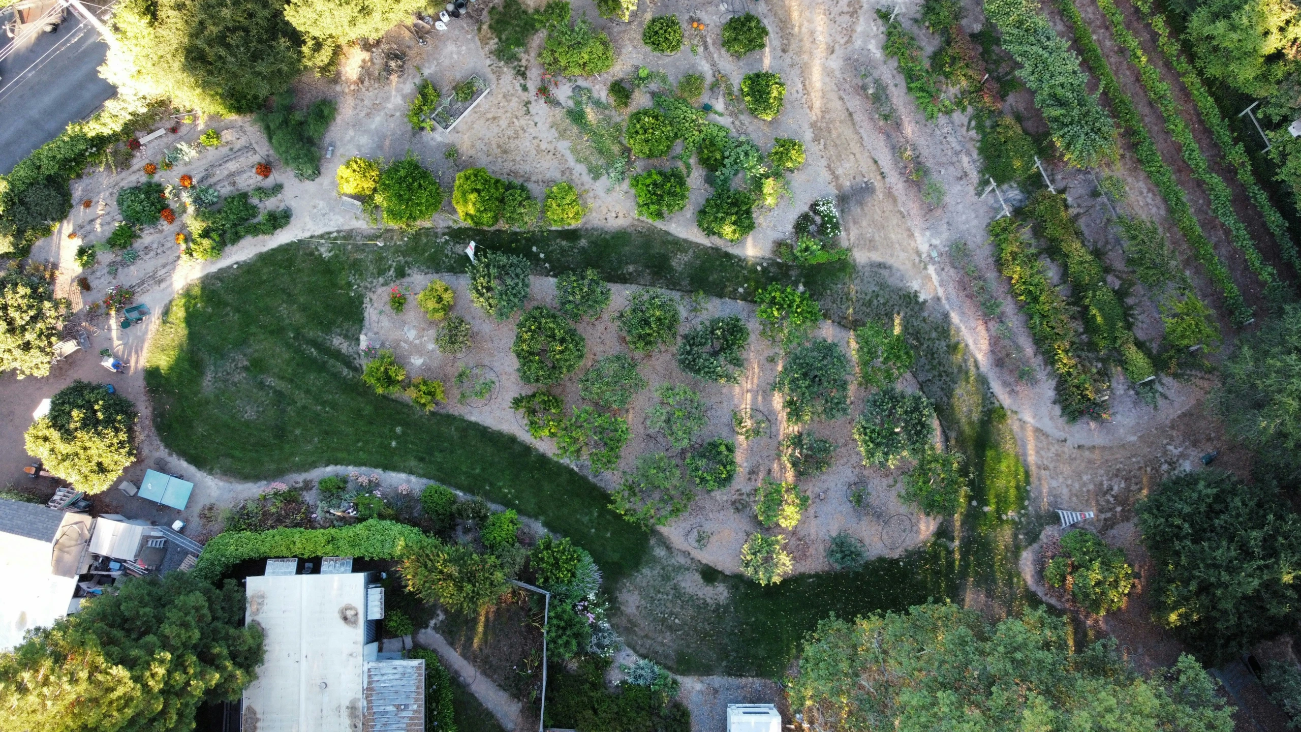 a view of an aerial view of some trees