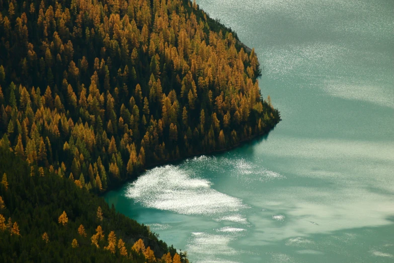 a view from above of a river running beside an evergreen covered cliff