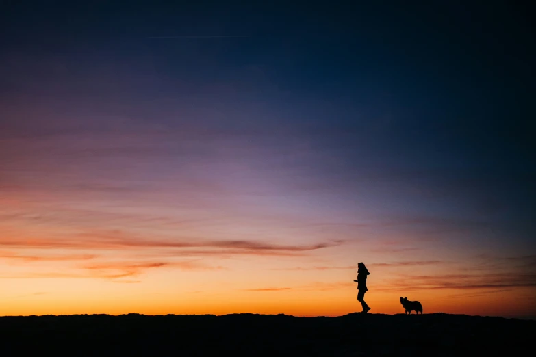 silhouetted person standing and dog at sunset