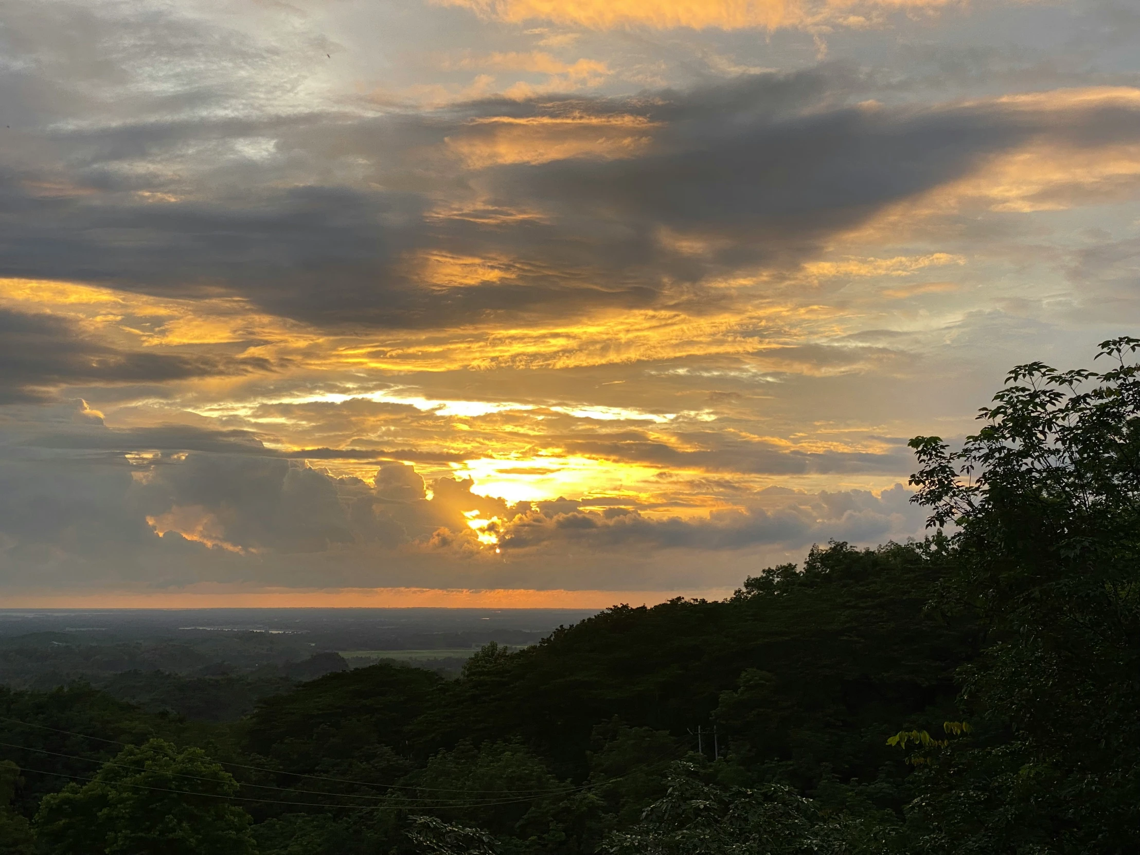 the sun sets in over a lush green forest