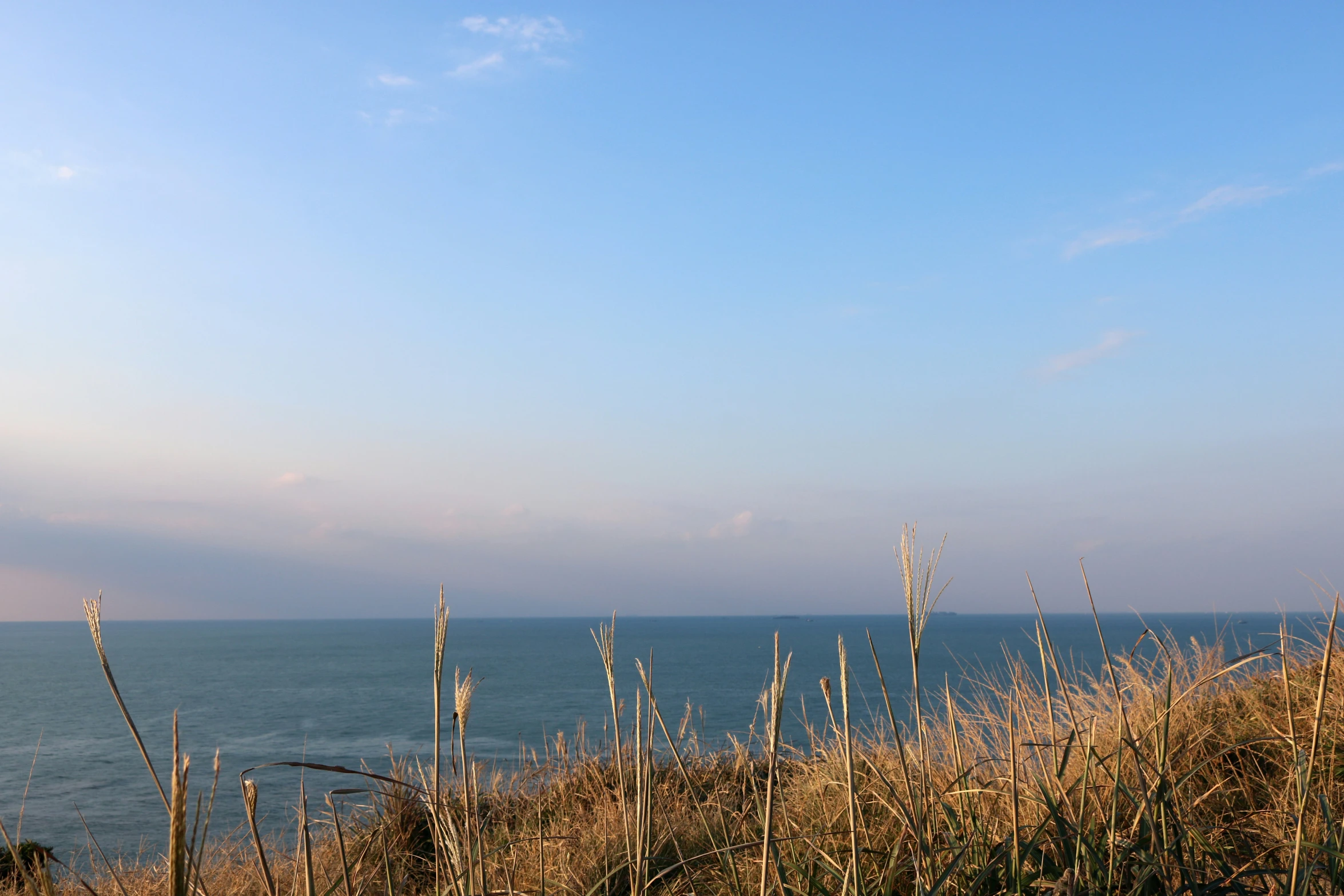 there is a bench on the edge of a field by the water