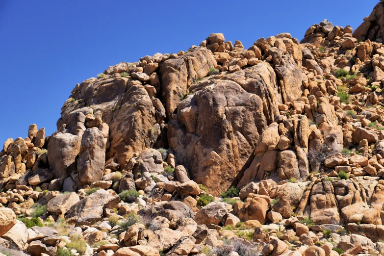 a rocky cliff with green plants and rocks