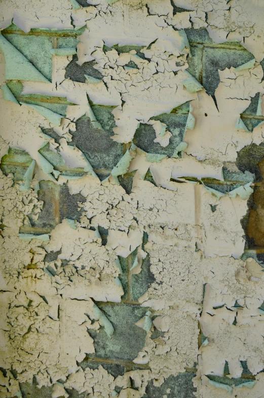 the background has peeling paint on it