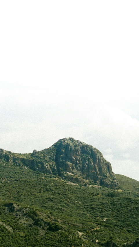 a large rock outcropping with greenery in front of it