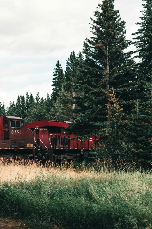 a train is traveling through a wooded area