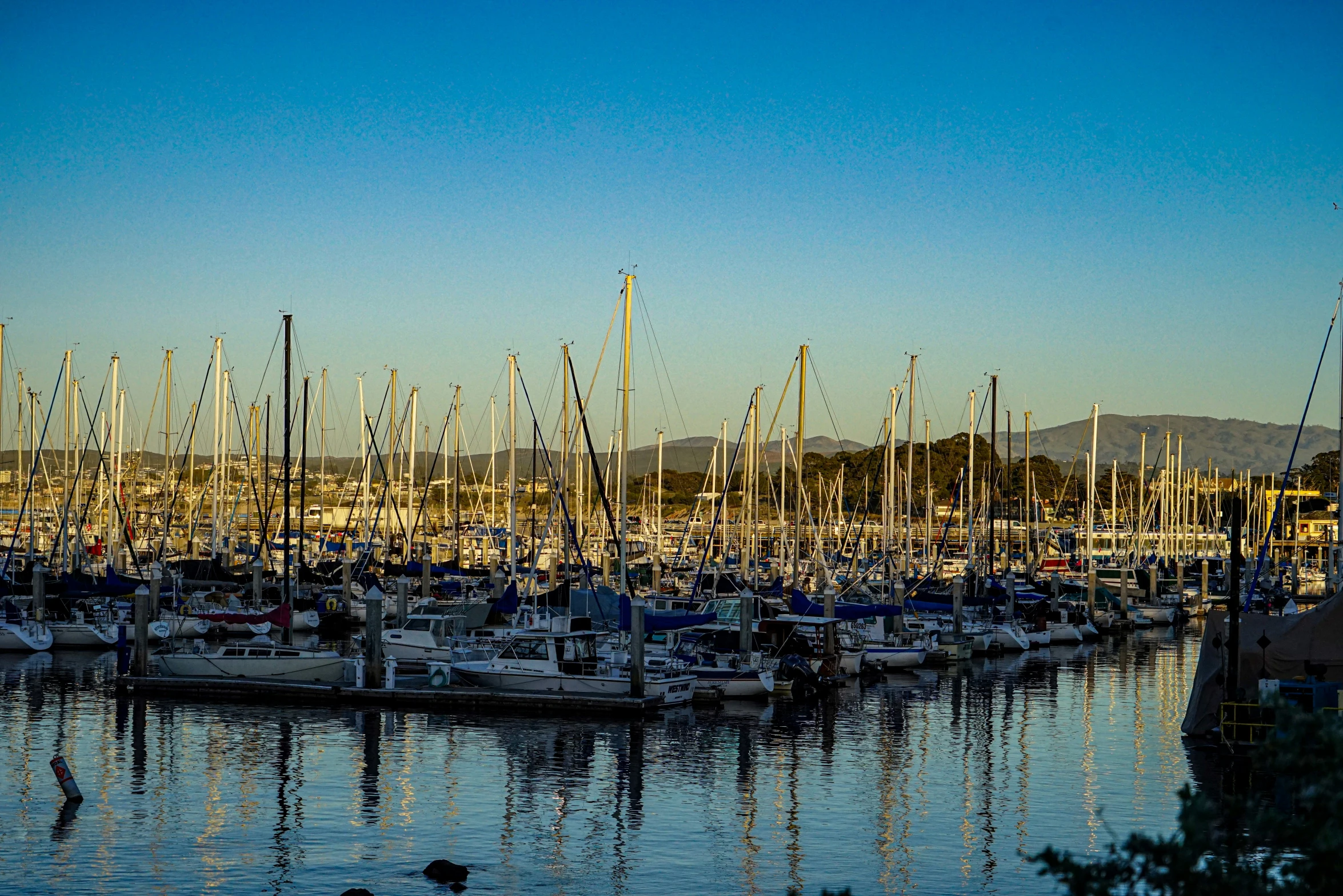 many boats at a harbor full of masts